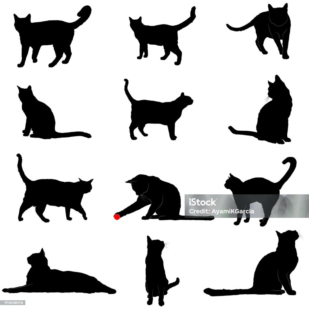 Vector Silhouettes of Cats Vector silhouettes of various domestic cat poses Domestic Cat stock vector