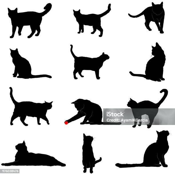 Vector Silhouettes Of Cats Stock Illustration - Download Image Now - Domestic Cat, In Silhouette, Cut Out