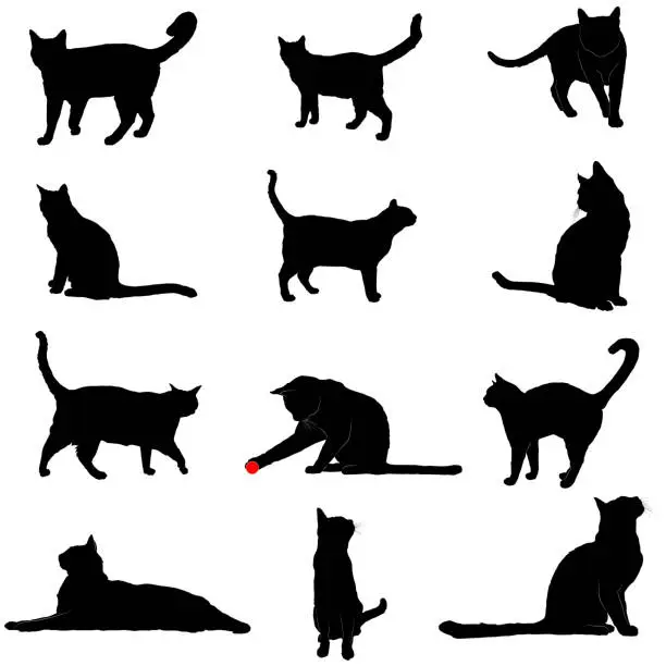 Vector illustration of Vector Silhouettes of Cats