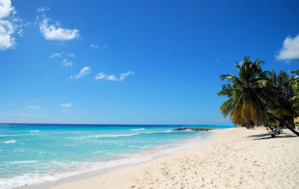 istock Islands in the Sun 976065220