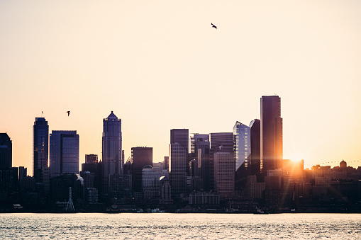 A beautiful sunrise over the architecture of the city of Seattle, Washington.