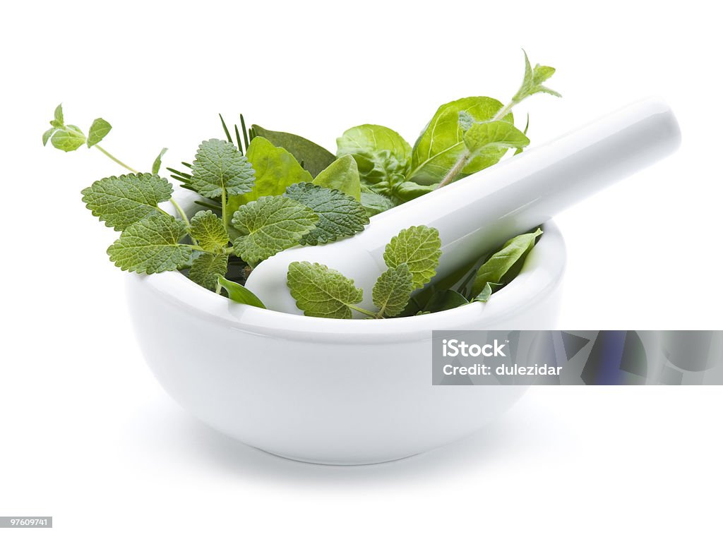 Herbs  Color Image Stock Photo