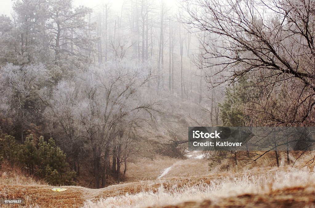 Foggy, frosty, trail  Canyon Stock Photo