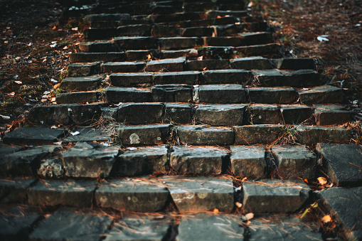 Close-up view of ancient fairy stair made of not big stone blocks in a forest or in some atmospheric park needle-covered with the ground on the sides; shallow depth of field