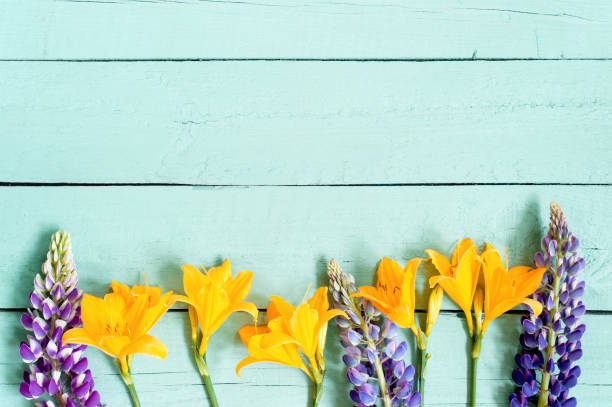 istock Blue wooden background with various bright flowers 976149652