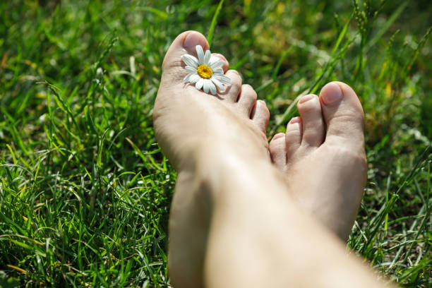 istock bare feet with daisy on green grass 976151320