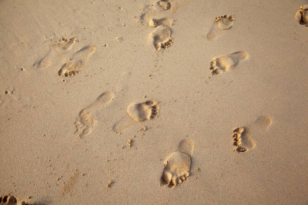 istock Footprints in sand at the Beach 976153328