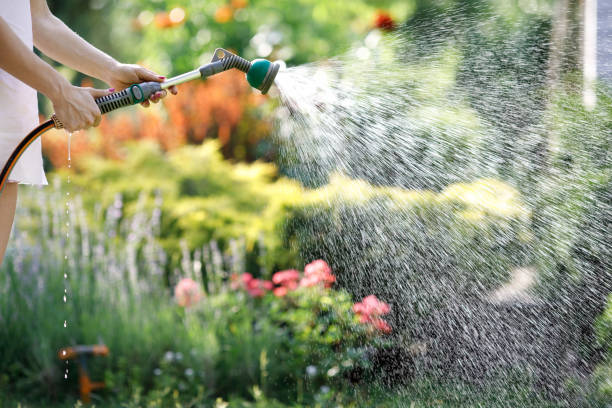 istock Watering garden flowers with hose 976160706