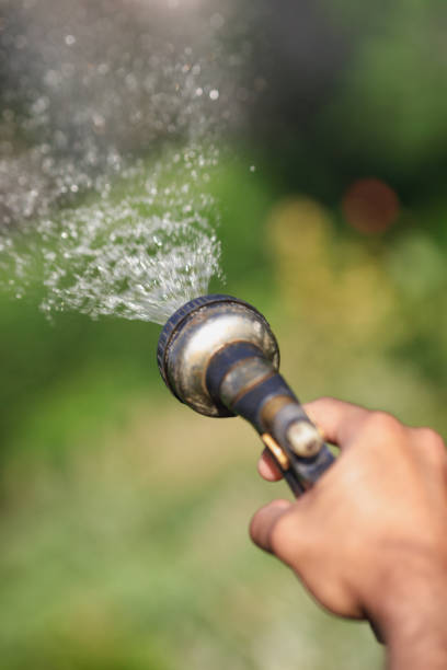 istock Watering garden flowers with hose 976168654