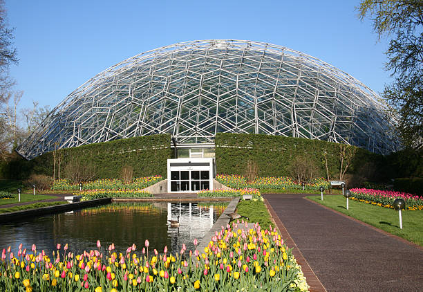 Climatron - Missouri Botanical Garden, St. Louis, Missouri, USA  geodesic dome stock pictures, royalty-free photos & images