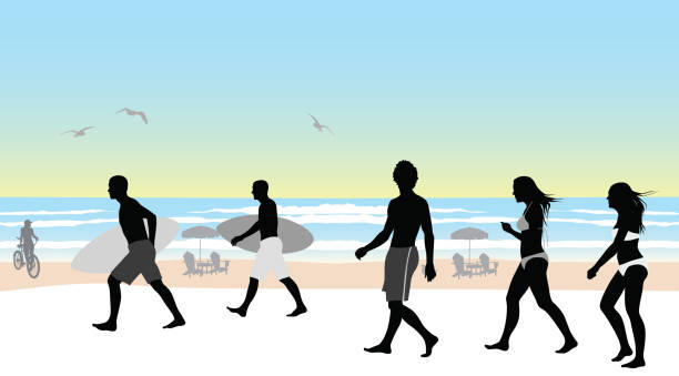 ilustraciones, imágenes clip art, dibujos animados e iconos de stock de sunny beach surf amigos - sunny day sunlight seagull