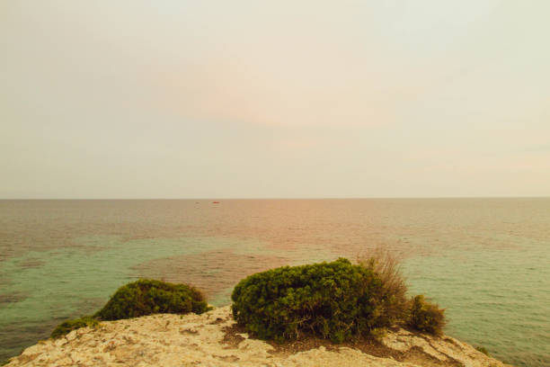 Rocky landscape by the sea at dusk sunset