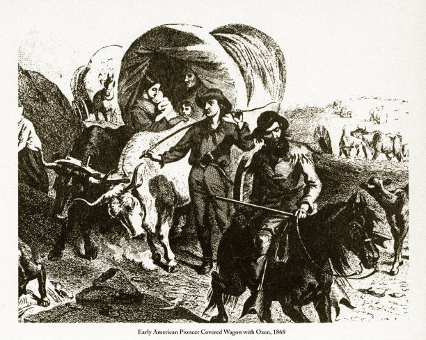 pioneer covered wagon with oxen, wczesnoamerykański wiktoriański grawerowanie, 1868 - ox wóz stock illustrations