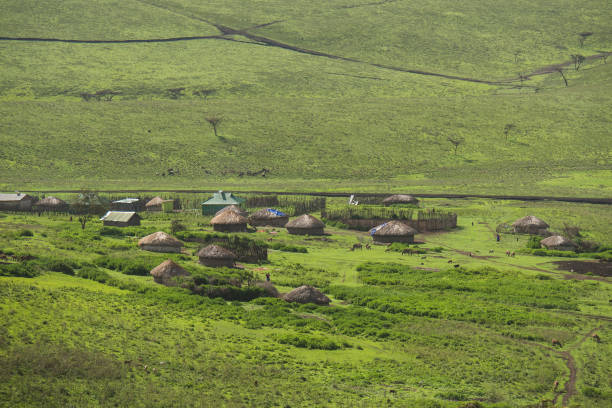 istock Tanzanian Masai village 976201158