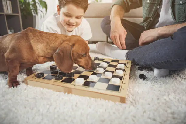 Photo of Pretty puppy sniffing chessboard near man and boy