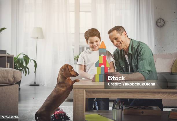 Fröhliche Vater Und Sohn Spaß Mit Hund Zu Hause Stockfoto und mehr Bilder von Vater - Vater, Bauen, Familie