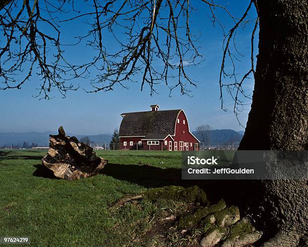 Red Barn And Tree Stock Photo - Download Image Now - Architecture, Barn, Built Structure