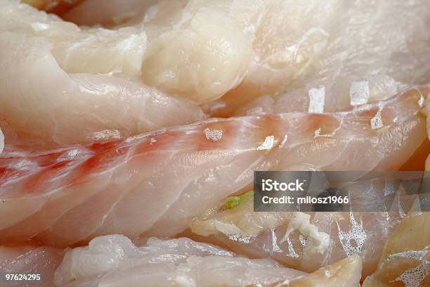 Raw Fish Stock Photo - Download Image Now - Animal, Backgrounds, Close-up