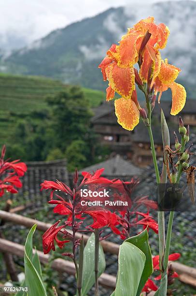 Красивые Цветы В Китайский Vilage — стоковые фотографии и другие картинки Азия - Азия, Без людей, Вертикальный