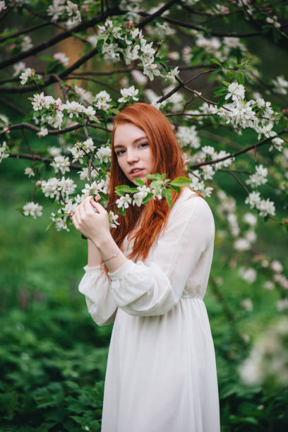330+ Appl Stock Photos, Pictures & Royalty-Free Images - IStock