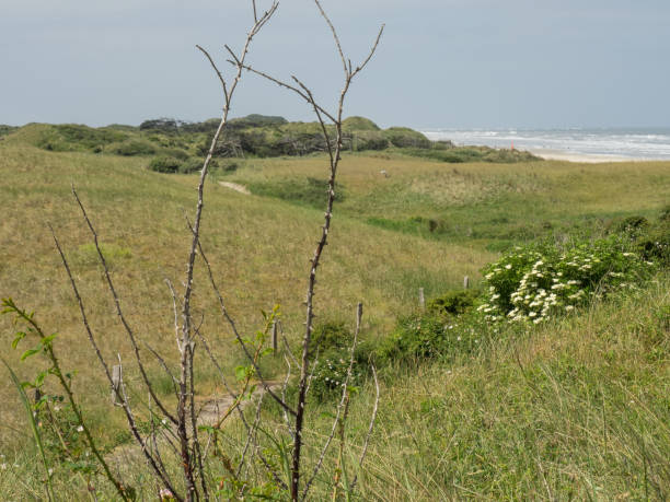 istock the german island juist 976262810