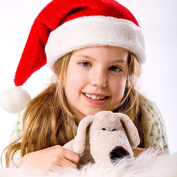 istock Christmas portrait with the dog 97627857