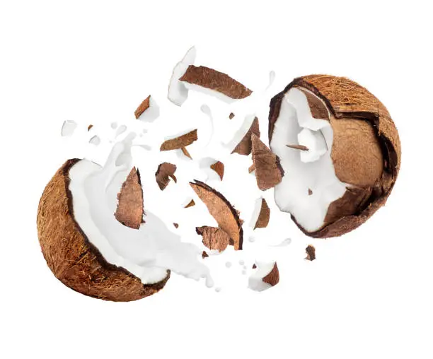 Coconut broken in the air into two halves with milk splashes