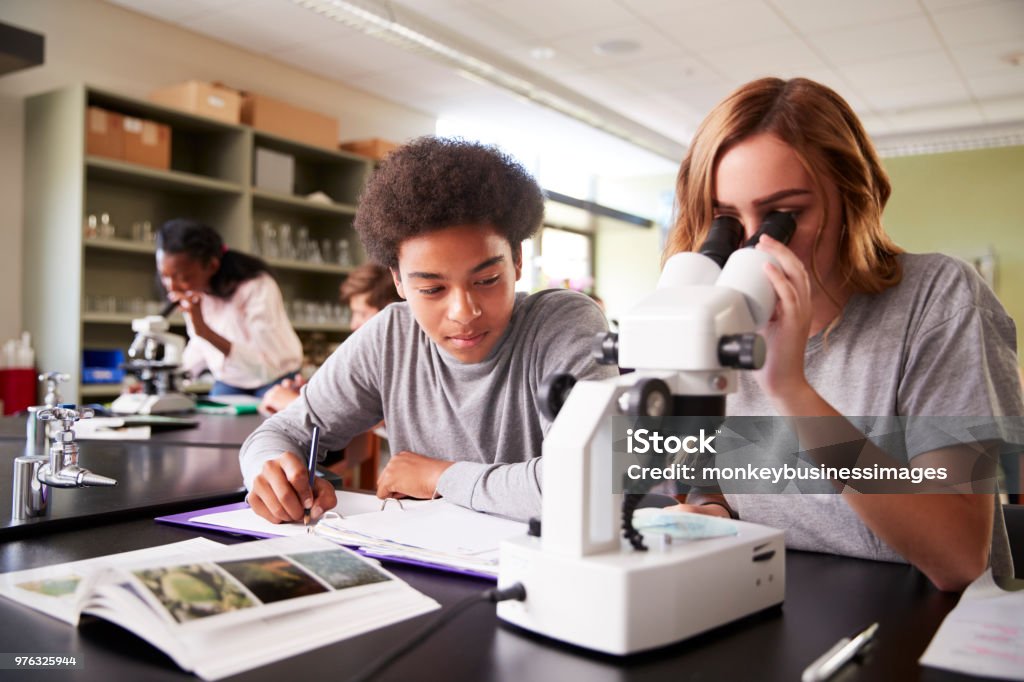 Estudantes do ensino médio olhando através do microscópio na aula de biologia - Foto de stock de Ciência royalty-free