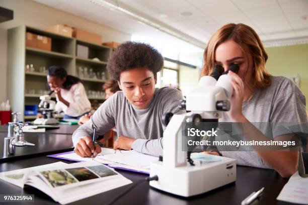 Foto de Estudantes Do Ensino Médio Olhando Através Do Microscópio Na Aula De Biologia e mais fotos de stock de Ciência