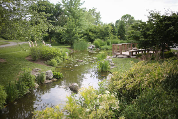 istock Formal Garden with a Wooden Patio and Man Made Pond Structure 976335648