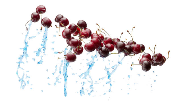istock sweet cherries in water splash isolated on a white background 976337346