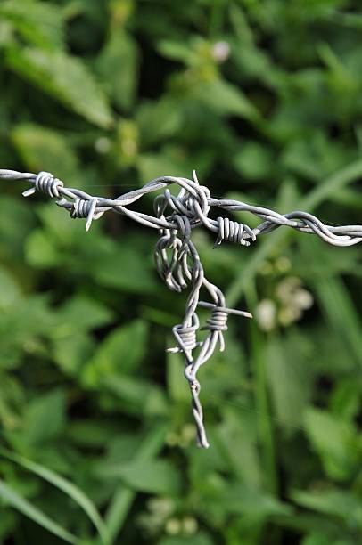 Knotted barbwire stock photo