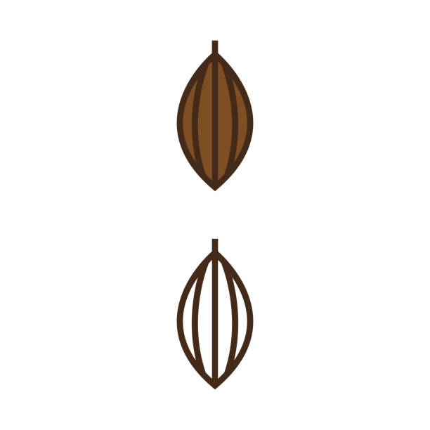 kakao 3 - cocoa bean stock illustrations