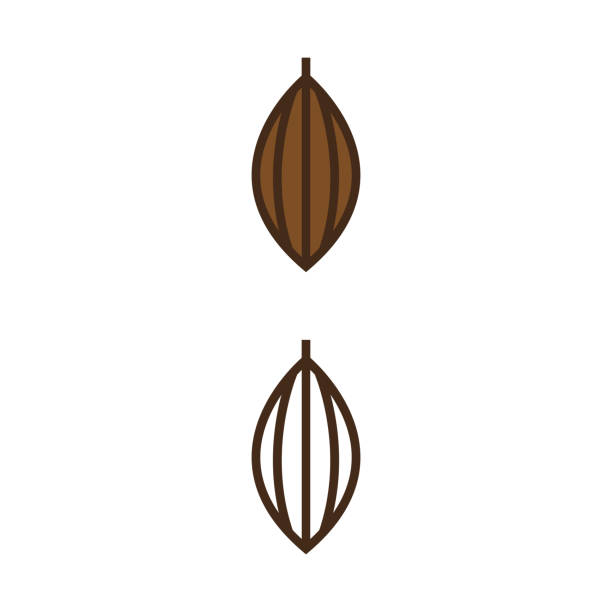 ilustrações, clipart, desenhos animados e ícones de cacau 3 - cocoa bean