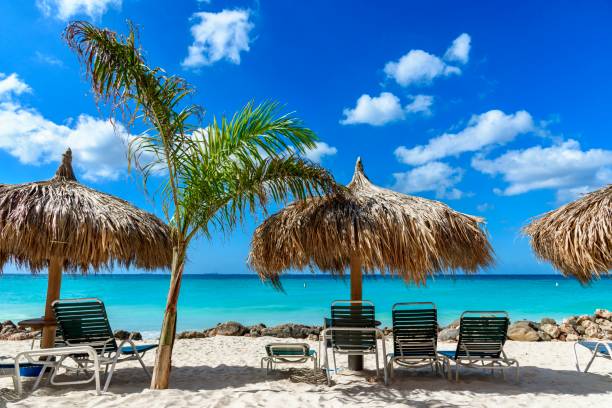 istock Caribbean landscape with parasol and sunbeds in Aruba. 976352238