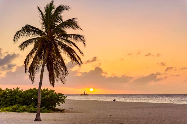 Tropical landscape at sunset. Caribbean idyllic beach. stock photo