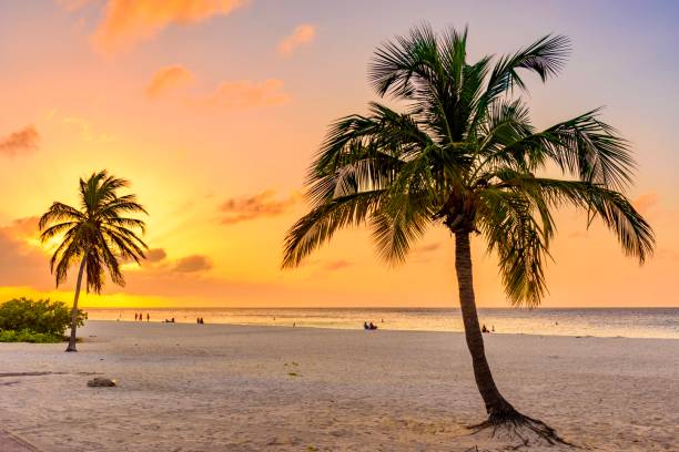 istock Tropical landscape at sunset. Caribbean idyllic beach. 976360062
