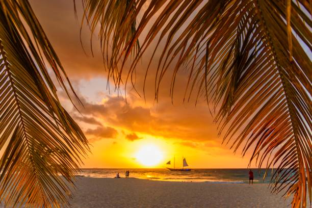 Tropical landscape at sunset stock photo
