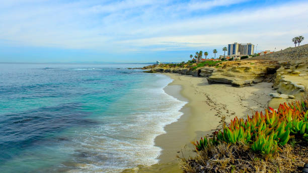 istock California beaches sun, surf and waves 976381430