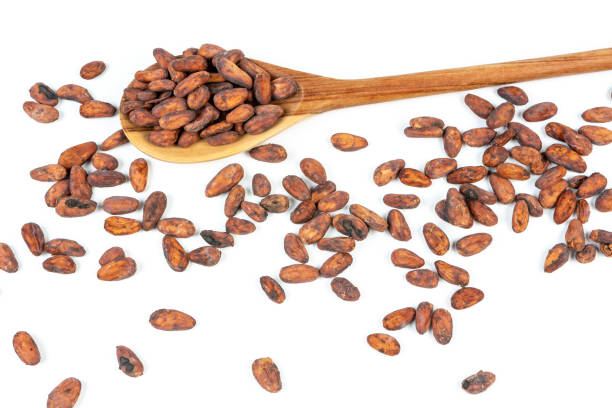 cacao en grano en cuchara de madera y sobre fondo blanco. - cocoa cocoa bean chocolate brazil fotografías e imágenes de stock