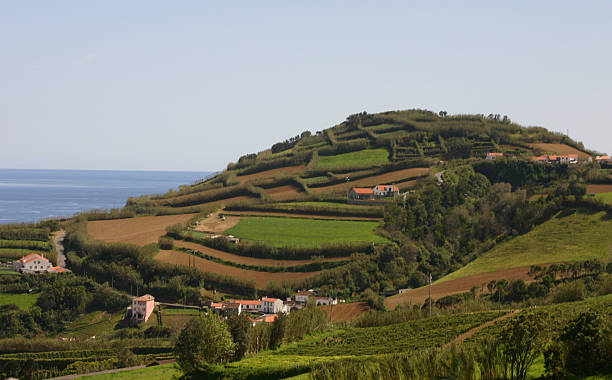 istock Farms on San Miguel 97641082