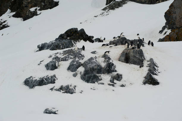 istock Antartica land scape and mountains 976419654