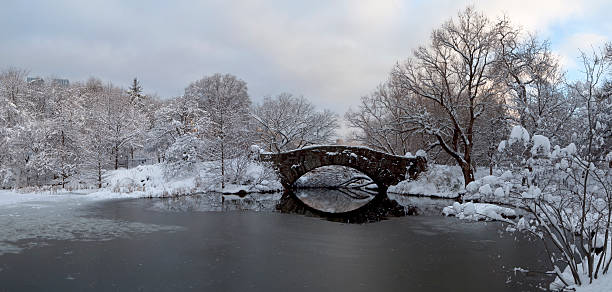 istock at the Gapstow bridge 97642126