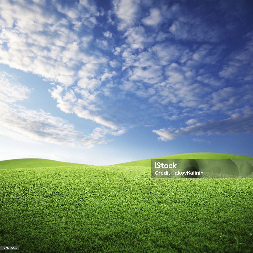 field of grass and perfect sky sunset - Стоковые фото Без людей роялти-фри