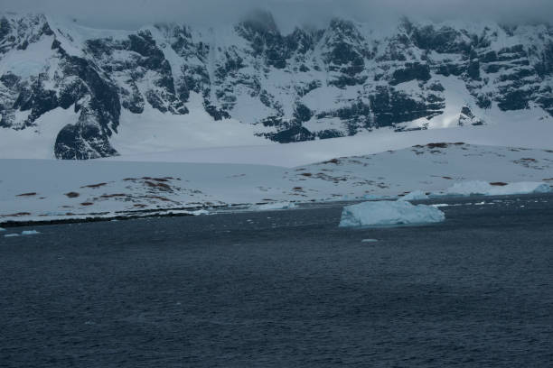 istock antartica mountains and wild penguins 976423534