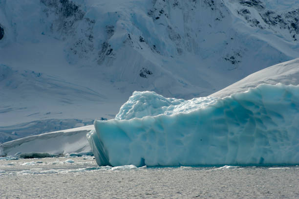 istock Antartica and its art 976424082