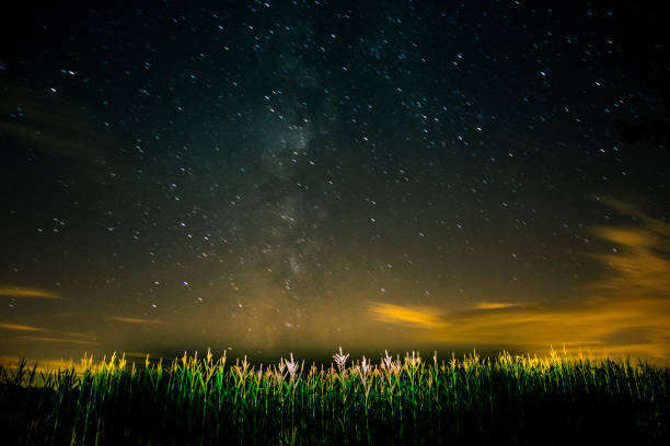The beautiful milky way galaxy shines bright above a corn field in Northwest Pennsylvania