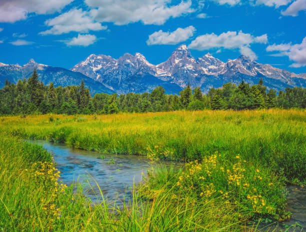 primavera no grand teton national park com prado, wy (p) - teton range grand teton national park mountain rural scene - fotografias e filmes do acervo