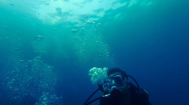 istock Japanese man diving 976467192
