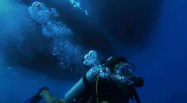 istock Japanese man diving 976467200
